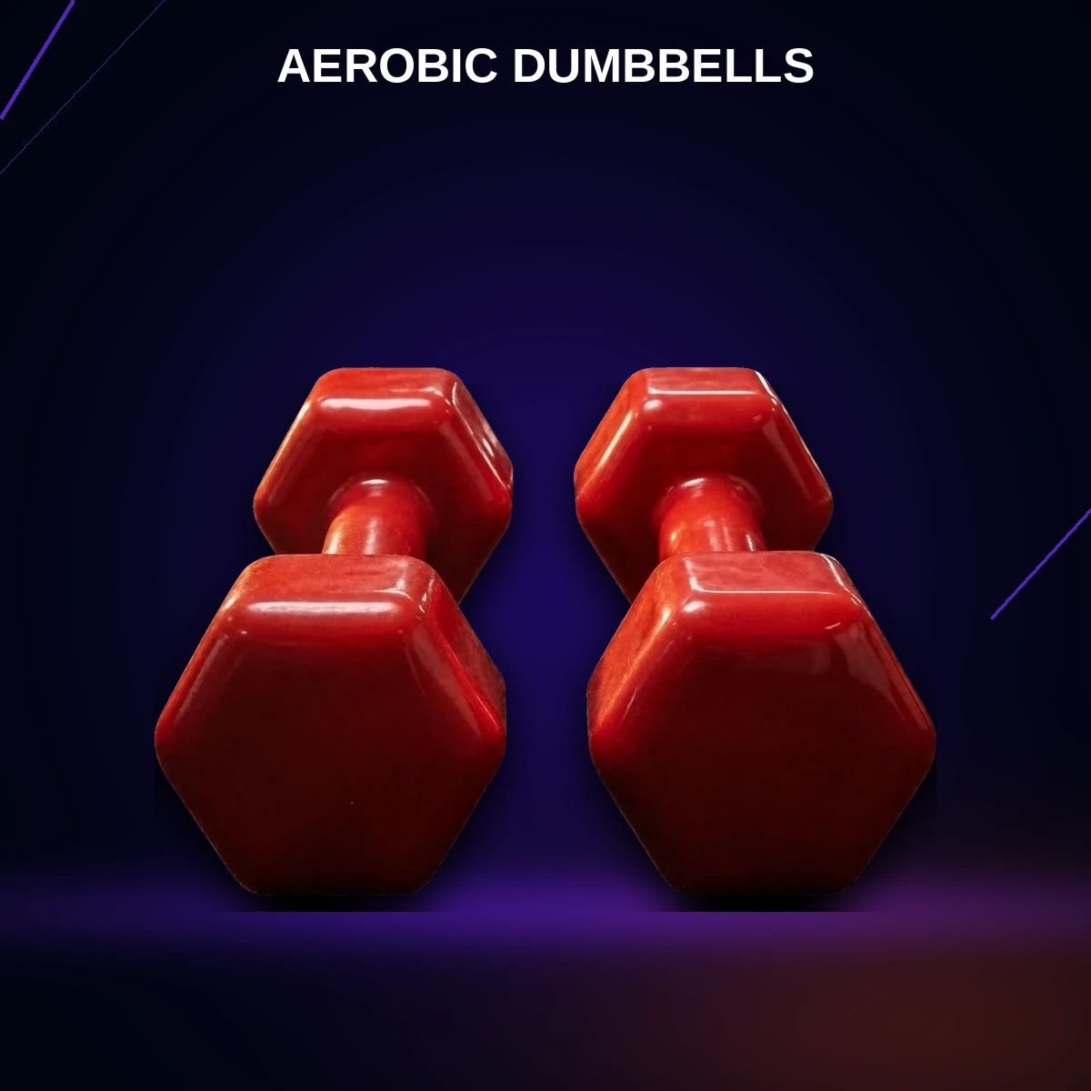 Aerobic Dumbbells by AlphagearX BD for fitness training in Bangladesh.