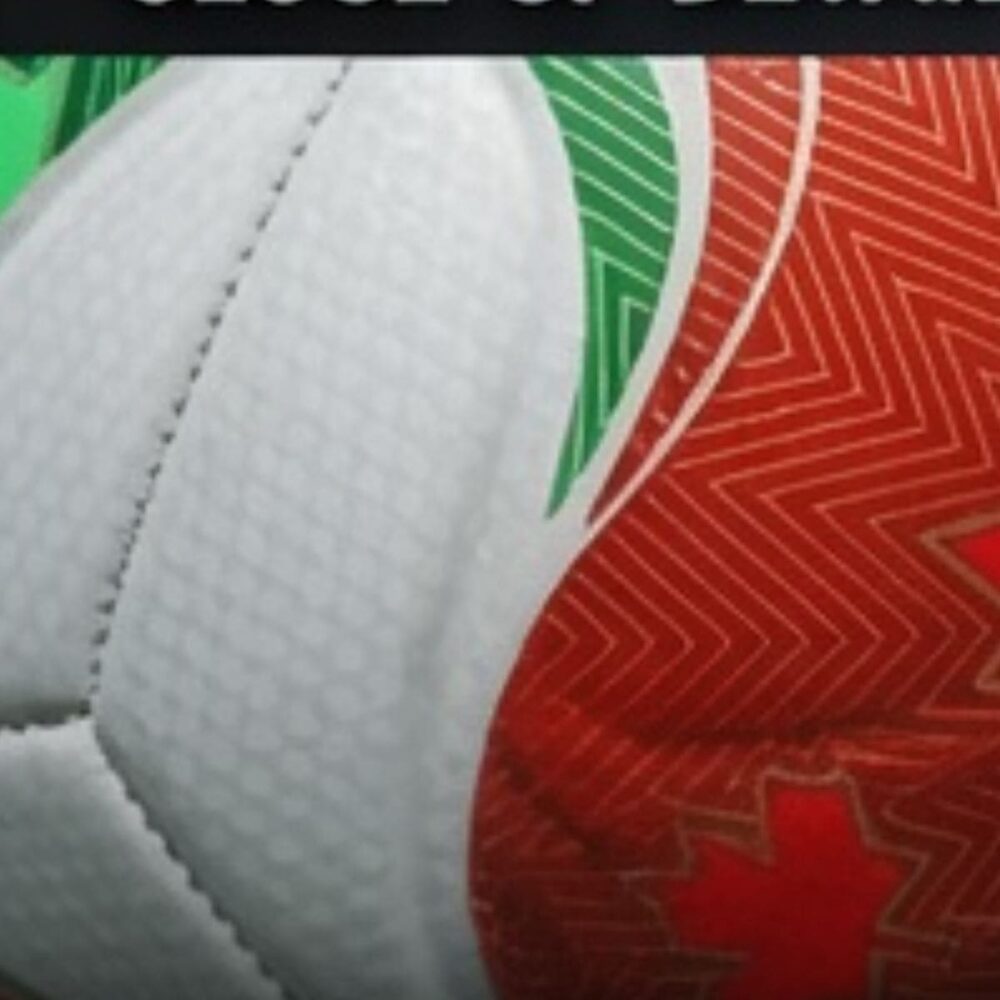 Gallery Thumb